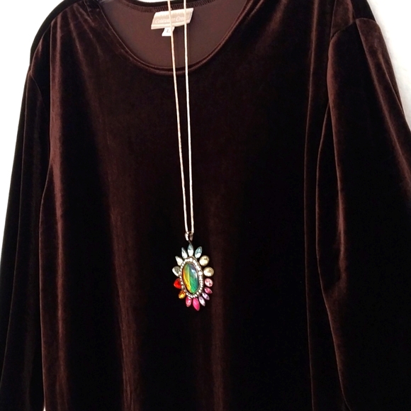 COLDWATER CREEK Brown Velvet Tunic Crew Neck Long Sleeve Top Size Large - Picture 4 of 16